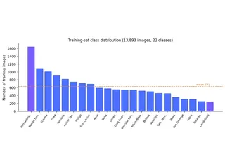 Training-set class distribution across 22 skin conditions (13,893 images), used to plan class-imbalance handling.