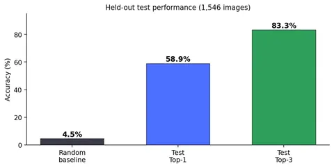 Bar chart from the M.E. skin disease detection project: held-out test performance on 1,546 images, 58.9% top-1 and 83.3% top-3 accuracy against a 4.5% random baseline.