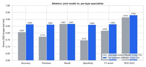 Ablation study comparing one joint model with two drawing-specific EfficientNetB0 models on accuracy, precision, recall, specificity, F1 and ROC-AUC.