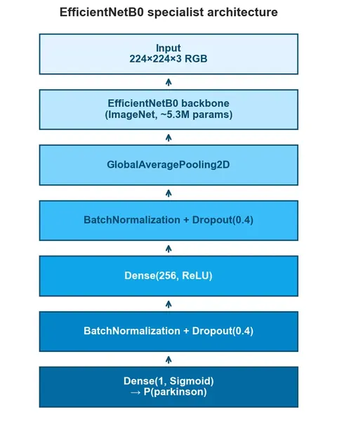 Layer diagram of the classifier: 224 by 224 RGB input, EfficientNetB0 backbone pretrained on ImageNet, global average pooling, batch normalisation and dropout, a dense layer, and a sigmoid output.