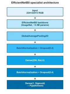 Classifier architecture: an EfficientNetB0 backbone pretrained on ImageNet, followed by pooling, batch-norm/dropout and dense layers ending in a sigmoid output.