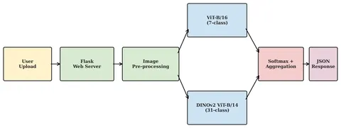 Block diagram: user upload, Flask web server and image pre-processing feed a ViT-B/16 model and a DINOv2 model, whose softmax outputs are aggregated into a JSON response.